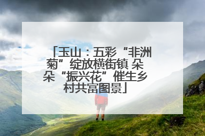 玉山：五彩“非洲菊”绽放横街镇 朵朵“振兴花”催生乡村共富图景