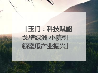 玉门：科技赋能戈壁绿洲 小院引领蜜瓜产业振兴