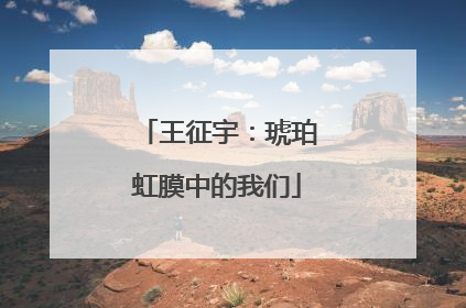 王征宇：琥珀虹膜中的我们