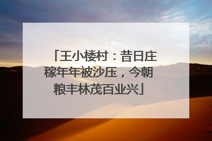 王小楼村：昔日庄稼年年被沙压，今朝粮丰林茂百业兴