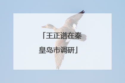 王正谱在秦皇岛市调研