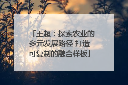 王超：探索农业的多元发展路径 打造可复制的融合样板