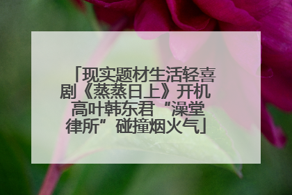 现实题材生活轻喜剧《蒸蒸日上》开机 高叶韩东君“澡堂律所”碰撞烟火气