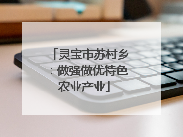 灵宝市苏村乡：做强做优特色农业产业