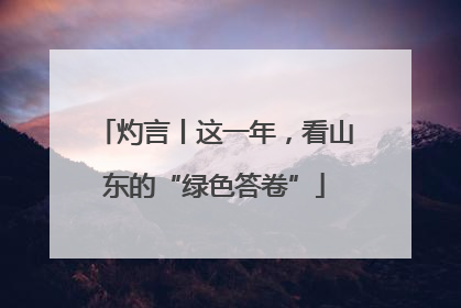灼言丨这一年，看山东的“绿色答卷”