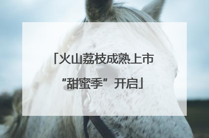 火山荔枝成熟上市 “甜蜜季”开启