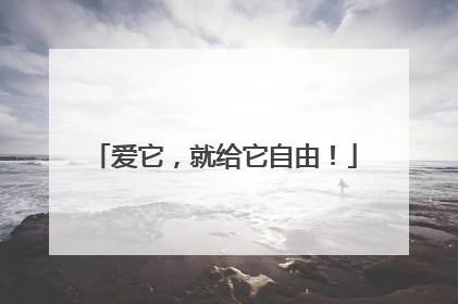 爱它，就给它自由！