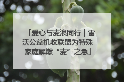 爱心与麦浪同行｜雷沃公益机收联盟为特殊家庭解燃“麦”之急