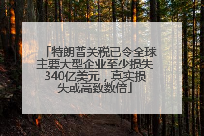 特朗普关税已令全球主要大型企业至少损失340亿美元，真实损失或高致数倍