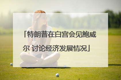 特朗普在白宫会见鲍威尔 讨论经济发展情况