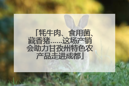 牦牛肉、食用菌、藏香猪……这场产销会助力甘孜州特色农产品走进成都