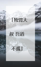 独臂大叔 吾道不孤