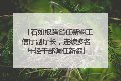 石如根跨省任新疆工信厅副厅长，连续多名年轻干部调任新疆