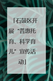 石鼓区开展“普惠托育、科学育儿”宣传活动