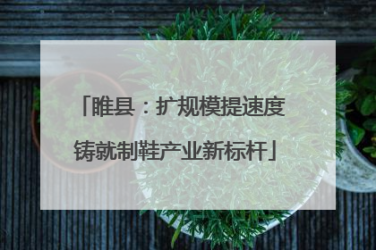 睢县：扩规模提速度 铸就制鞋产业新标杆