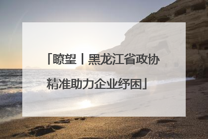 瞭望丨黑龙江省政协精准助力企业纾困