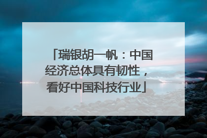 瑞银胡一帆：中国经济总体具有韧性，看好中国科技行业