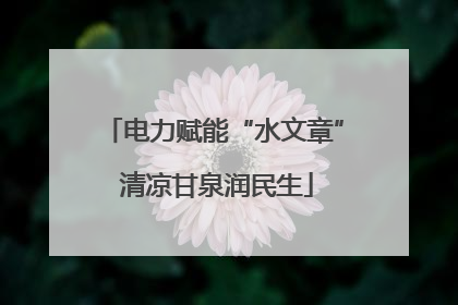 电力赋能“水文章” 清凉甘泉润民生