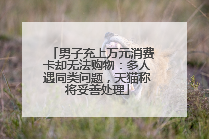 男子充上万元消费卡却无法购物：多人遇同类问题，天猫称将妥善处理