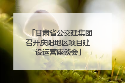 甘肃省公交建集团召开庆阳地区项目建设运营座谈会