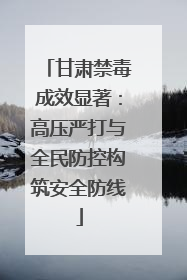 甘肃禁毒成效显著：高压严打与全民防控构筑安全防线