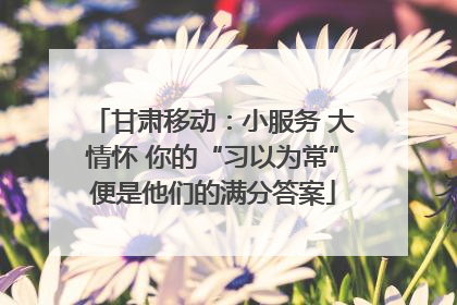 甘肃移动：小服务 大情怀 你的“习以为常”便是他们的满分答案