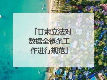 甘肃立法对数据全链条工作进行规范