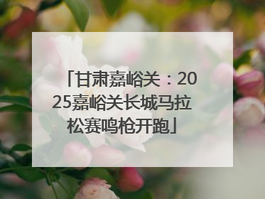 甘肃嘉峪关：2025嘉峪关长城马拉松赛鸣枪开跑