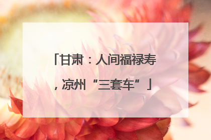 甘肃：人间福禄寿，凉州“三套车”
