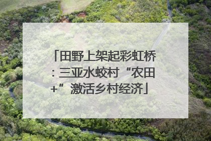 田野上架起彩虹桥：三亚水蛟村“农田+”激活乡村经济