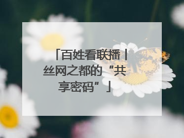 百姓看联播丨丝网之都的“共享密码”