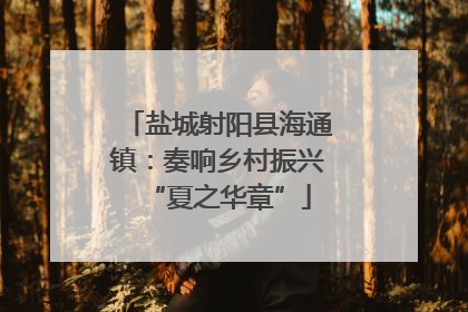 盐城射阳县海通镇：奏响乡村振兴“夏之华章”
