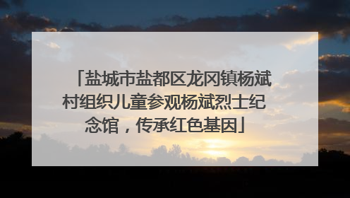 盐城市盐都区龙冈镇杨斌村组织儿童参观杨斌烈士纪念馆，传承红色基因
