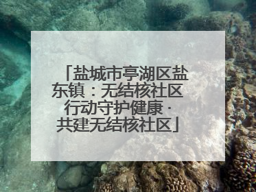 盐城市亭湖区盐东镇：无结核社区行动守护健康 ·共建无结核社区