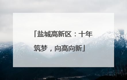 盐城高新区：十年筑梦，向高向新