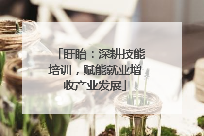 盱眙：深耕技能培训，赋能就业增收产业发展