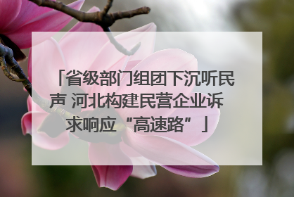 省级部门组团下沉听民声 河北构建民营企业诉求响应“高速路”