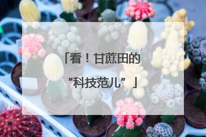 看！甘蔗田的“科技范儿”