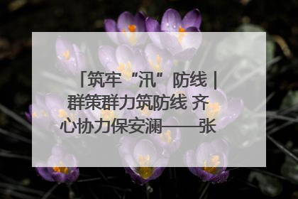 筑牢“汛”防线｜群策群力筑防线 齐心协力保安澜——张家界高新区上下众志成城迎战汛情