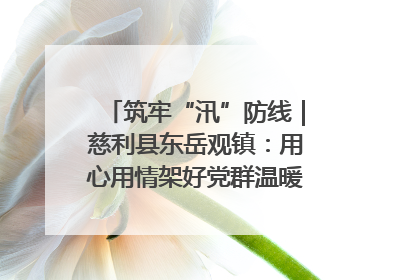 筑牢“汛”防线｜慈利县东岳观镇：用心用情架好党群温暖悠长的“连心桥”