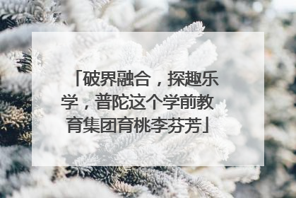 破界融合，探趣乐学，普陀这个学前教育集团育桃李芬芳