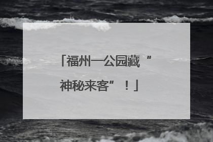 福州一公园藏“神秘来客”！