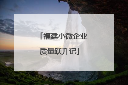 福建小微企业质量跃升记