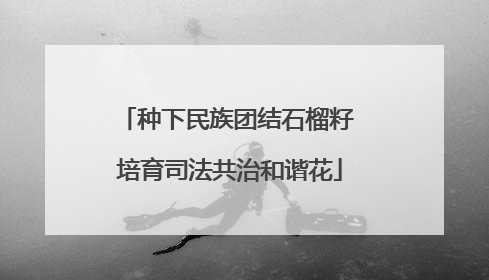 种下民族团结石榴籽 培育司法共治和谐花