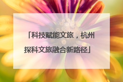 科技赋能文旅，杭州探科文旅融合新路径