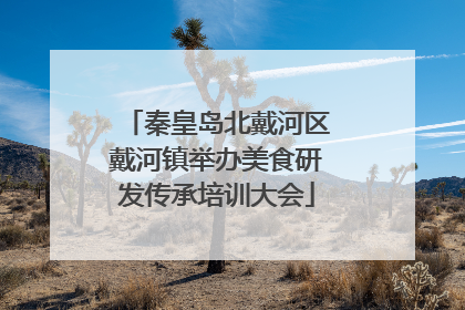 秦皇岛北戴河区戴河镇举办美食研发传承培训大会