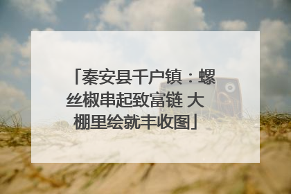 秦安县千户镇：螺丝椒串起致富链 大棚里绘就丰收图