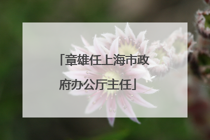 章雄任上海市政府办公厅主任