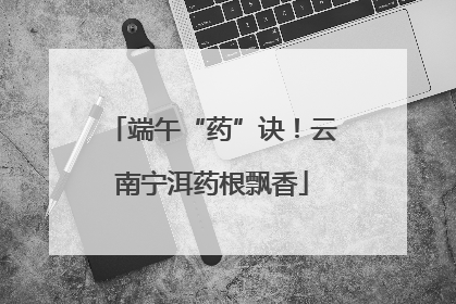 端午“药”诀！云南宁洱药根飘香