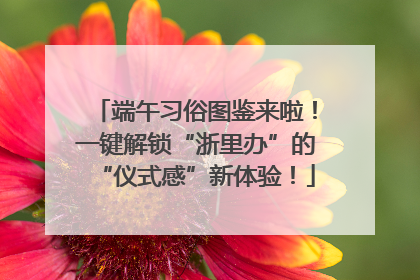 端午习俗图鉴来啦！一键解锁“浙里办”的“仪式感”新体验！